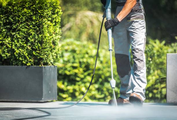 Animal Enclosure Cleaning in Shoshone, ID
